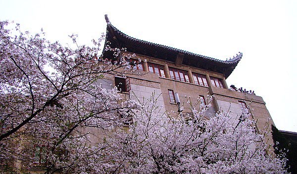 校園風光