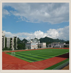 球場