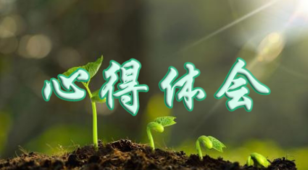 在重慶工商大學參加工商局系統公務人員培訓之后的心得體會