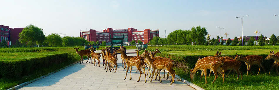 內(nèi)蒙古師范大學(xué)干部培訓(xùn)