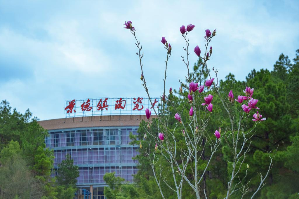 景德鎮陶瓷大學干部培訓