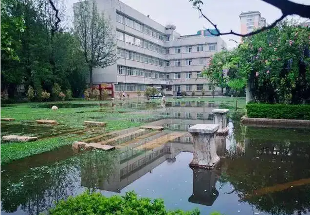 湖畔