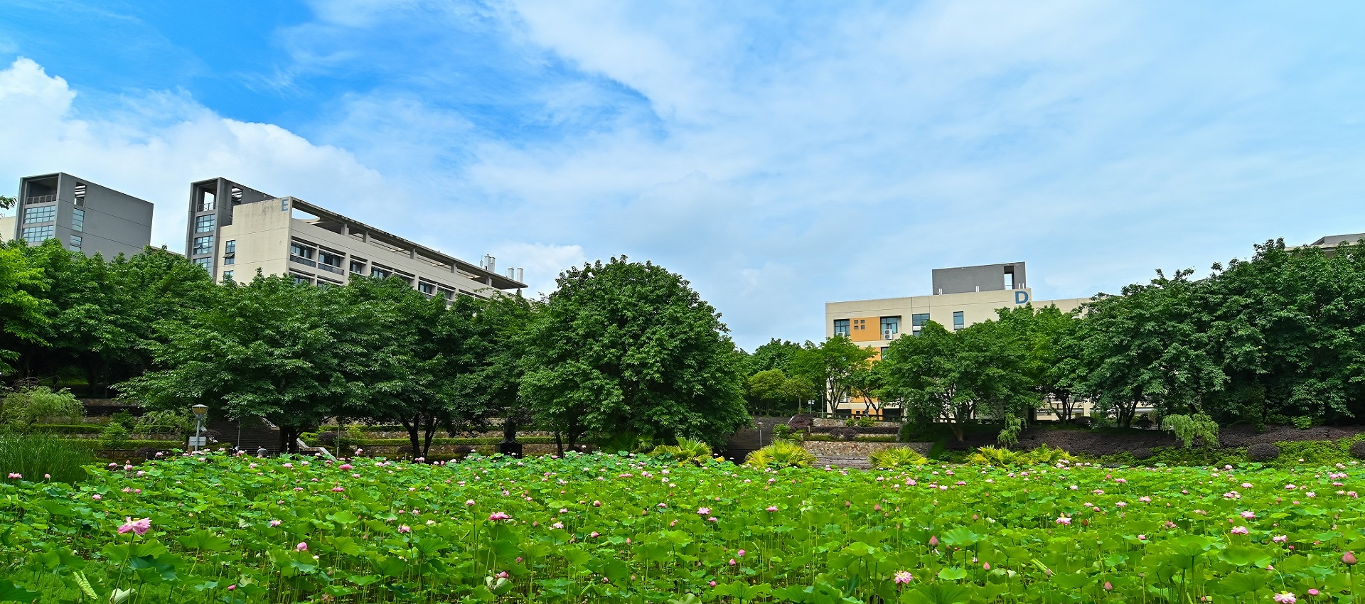 校園2